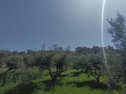 ΑΘΑΝΑΤΟΙ