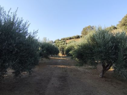 ΚΑΒΡΟΧΩΡΙ