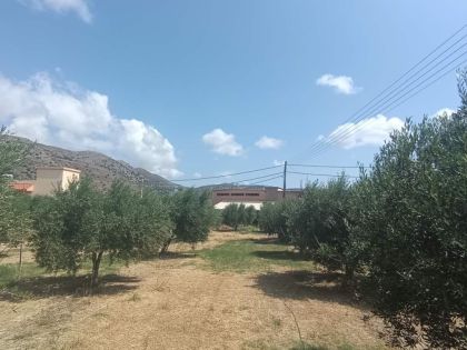 ΤΥΛΙΣΣΟΣ