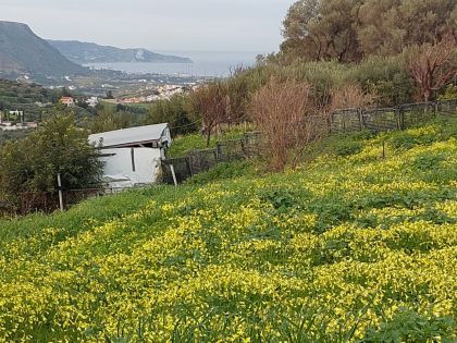 ΒΟΥΤΕΣ