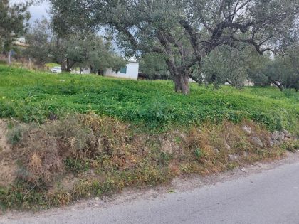 ΒΑΣΙΛΕΙΕΣ