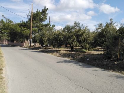 ΒΕΝΕΡΑΤΟ: