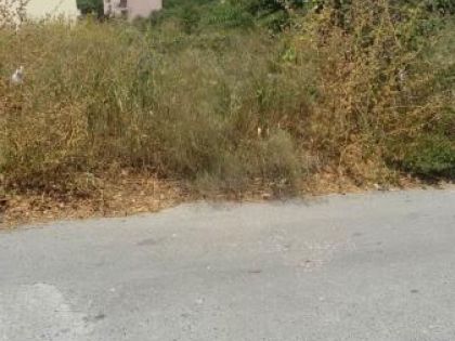 ΜΕΣΑΜΠΕΛΙΕΣ