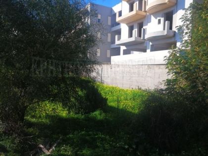ΜΕΣΑΜΠΕΛΙΕΣ
