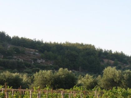 ΑΡΧΑΝΕΣ ΚΑΤΩ