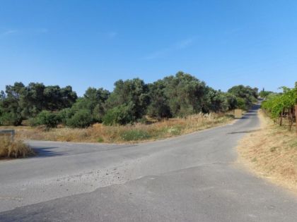 ΔΑΦΝΕΣ
