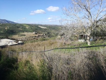 αγγελία