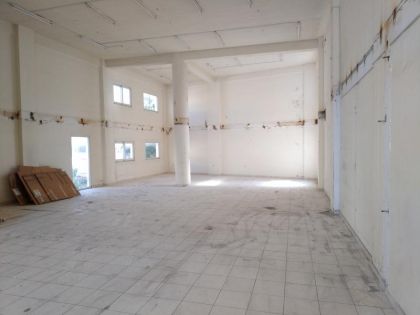 ΕΘΝΙΚΗΣ ΑΝΤΙΣΤΑΣΕΩΣ ΚΑΤΑΣΤΗΜΑ