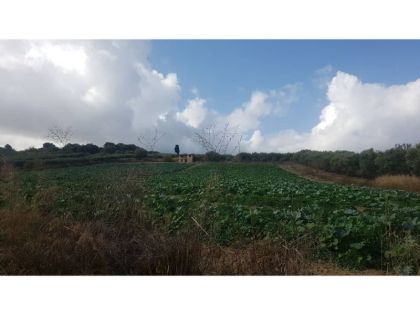 αγγελία