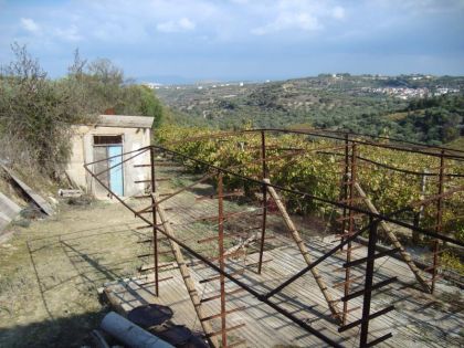 ΕΠΙΣΚΟΠΗ