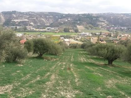 ΦΟΙΝΙΚΙΑ