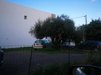 ΠΑΠΑΝΑΣΤΑΣΙΟΥ ΜΕΓΑΛΗ