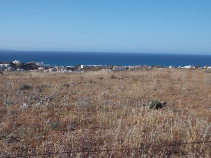 ΒΡΑΧΟΚΗΠΟΣ