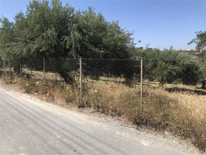 αγγελία
