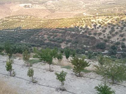 ΚΑΙΝΟΥΡΓΙΟ ΧΩΡΙΟ