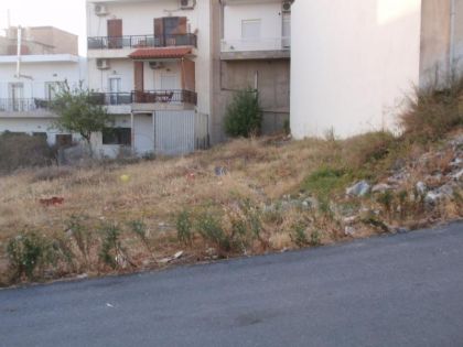 ΘΈΡΙΣΟΣ 
