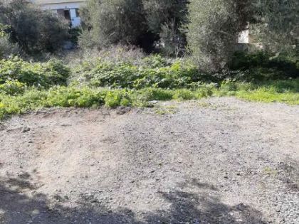 ΑΓΙΟΣ ΙΩΑΝΝΗΣ ΚΝΩΣΟΥ