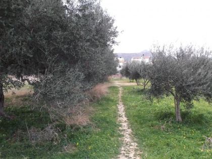 αγγελία