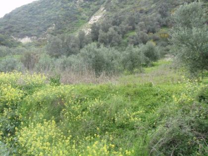 ΕΟ ΗΡΑΚΛΕΙΟΥ-ΜΟΙΡΩΝ