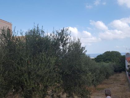 ΓΟΥΒΕΣ ΑΝΩ