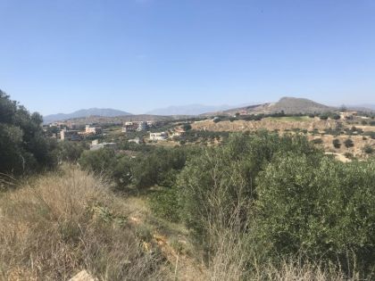 ΕΛΙΑ
