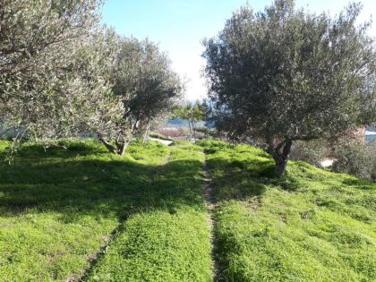 ΠΕΤΡΟΚΕΦΑΛΟ