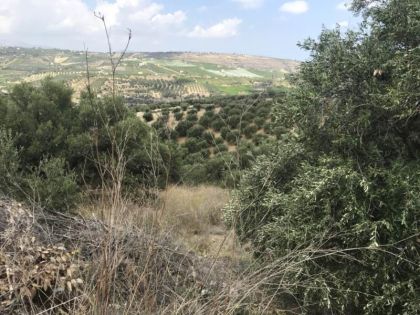 ΑΓΙΑ ΕΙΡΗΝΗ