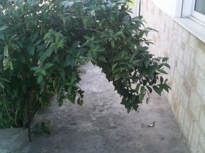 Λ. ΚΝΩΣΟΥ