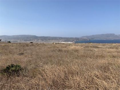 αγγελία