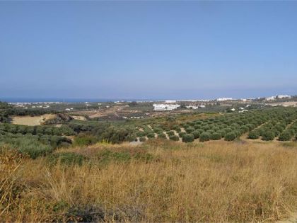 ΚΑΛΕΣΑ ΚΑΤΩ