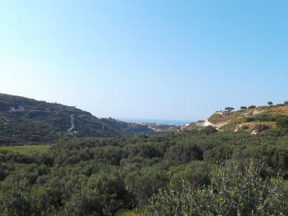 αγγελία