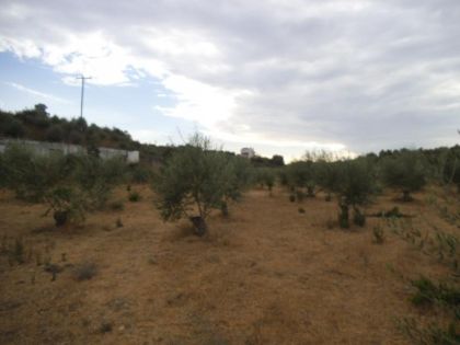 ΠΕΡΑΜΑ ΜΥΛΟΠΟΤΑΜΟΥ