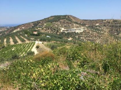 ΑΘΑΝΑΤΟΙ