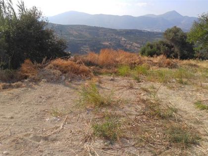 ΚΑΛΕΣΑ ΚΑΤΩ