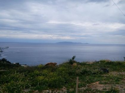 ΠΑΝΤΑΝΑΣΣΑ
