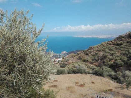 ΡΟΔΙΑ
