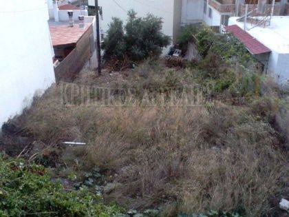ΚΟΡΩΝΗ ΜΑΓΑΡΑ