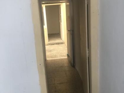 ΠΑΤΕΛΕΣ