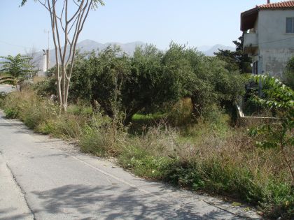 ΑΡΚΑΛΟΧΩΡΙ