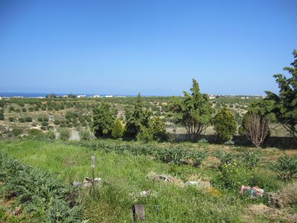 αγγελία