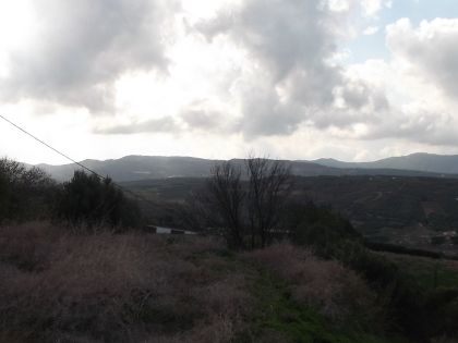 αγγελία