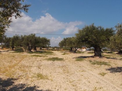 αγγελία
