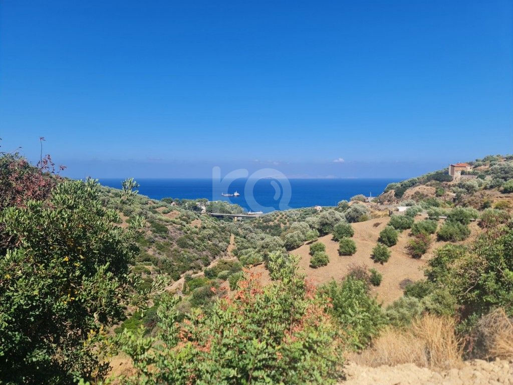 εικόνα αγγελίας