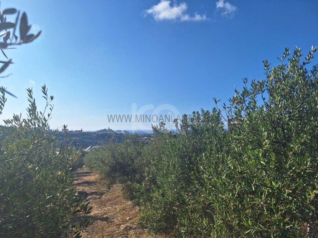 εικόνα αγγελίας