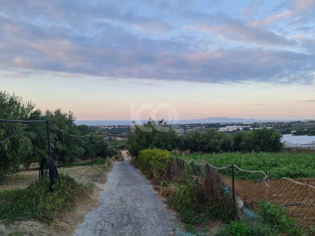 εικόνα αγγελίας