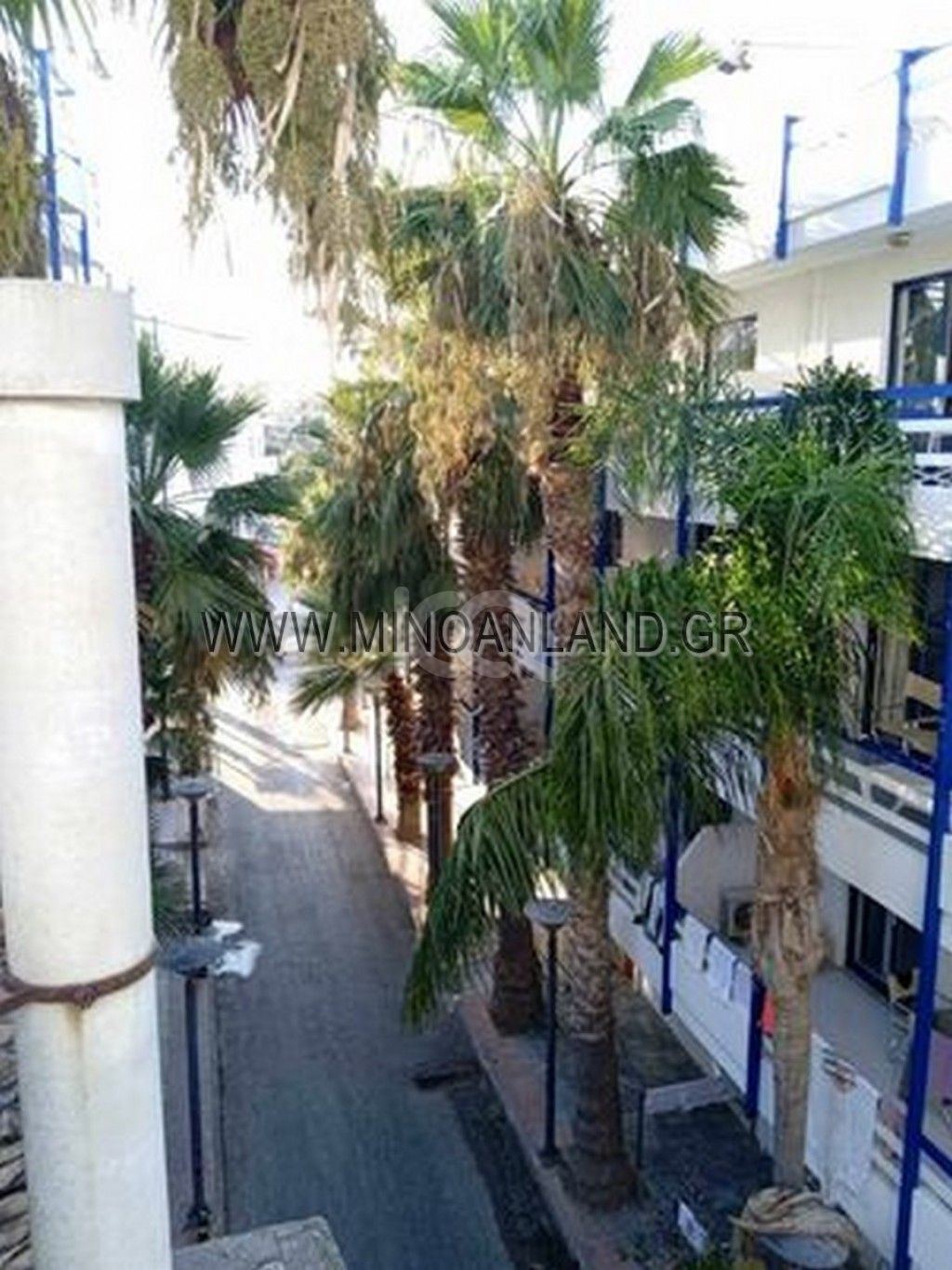 εικόνα αγγελίας