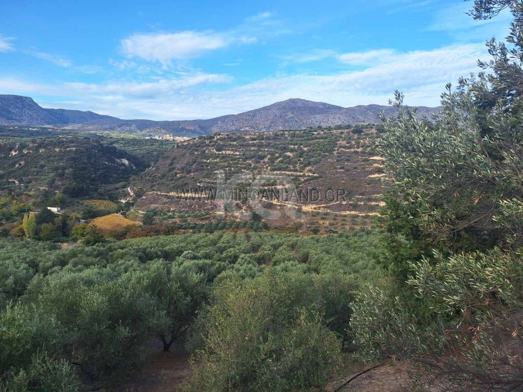 εικόνα αγγελίας