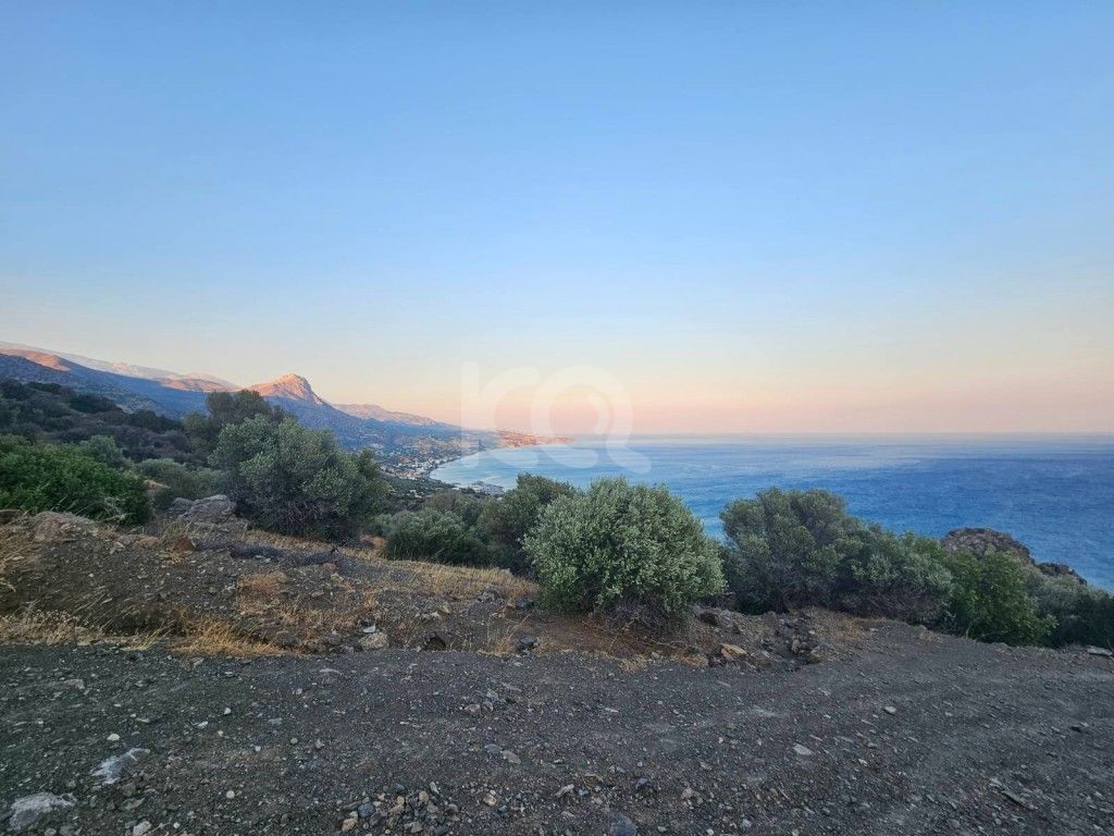 εικόνα αγγελίας