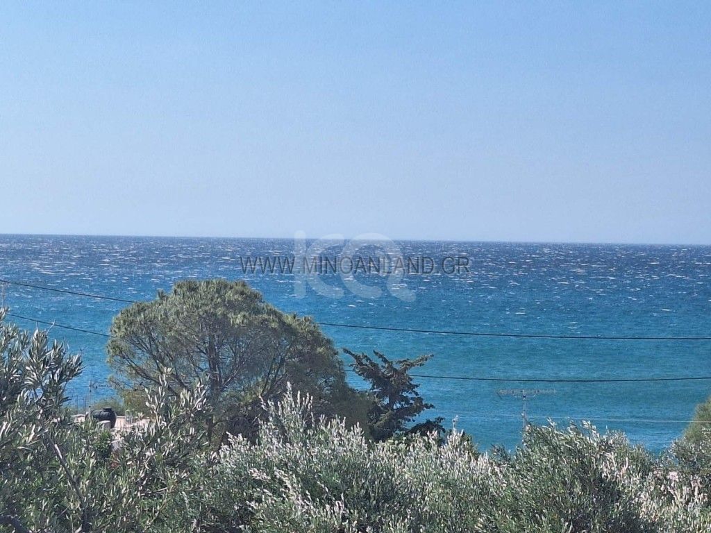 εικόνα αγγελίας