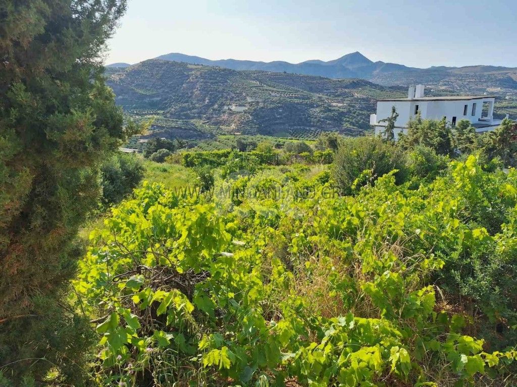 εικόνα αγγελίας